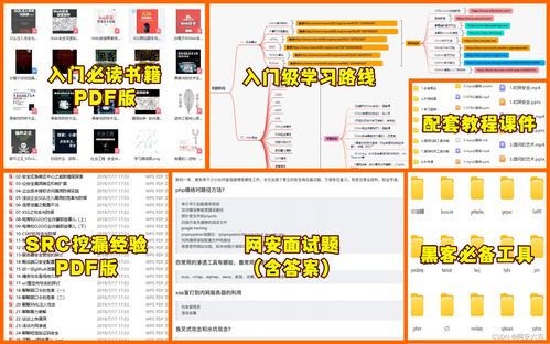 網(wǎng)絡(luò)安全自學(xué)指南 從計(jì)算機(jī)軟硬件基礎(chǔ)到黑客攻防入門(mén)